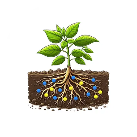 Ankurayam benefits for cotton crop – improved soil nutrient retention and yield
