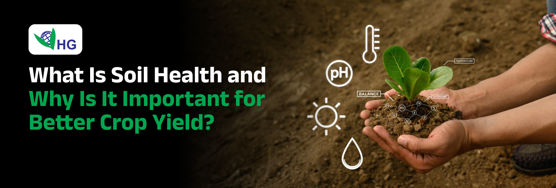 What Is Soil Health and Why Is It Important for Better Crop Yield?