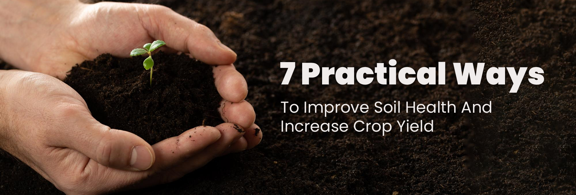 7 Practical Ways to Improve Soil Health and Increase Crop Yield