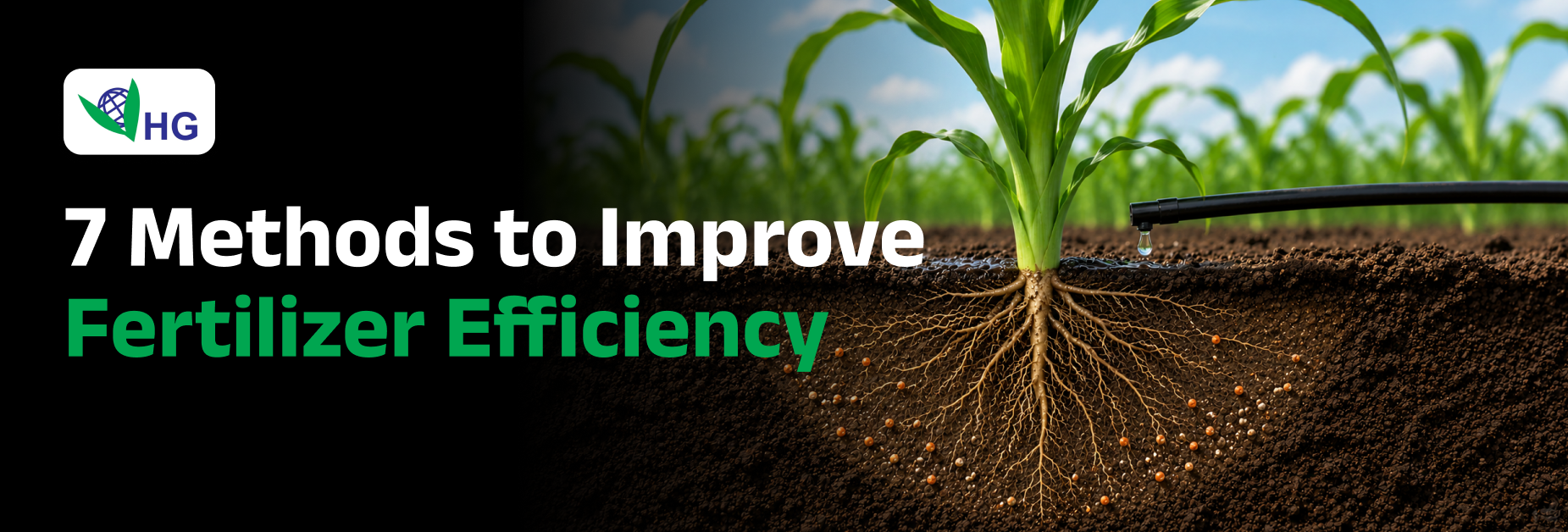 How to Improve Fertilizer Efficiency in Agriculture: 7 Proven Methods Farmers Should Know