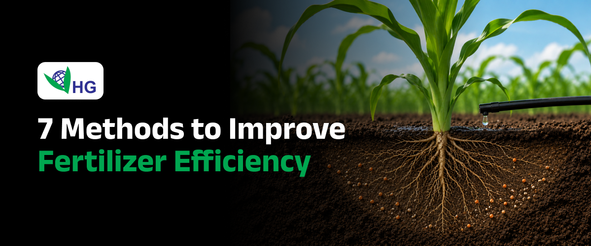 How to Improve Fertilizer Efficiency in Agriculture: 7 Proven Methods Farmers Should Know