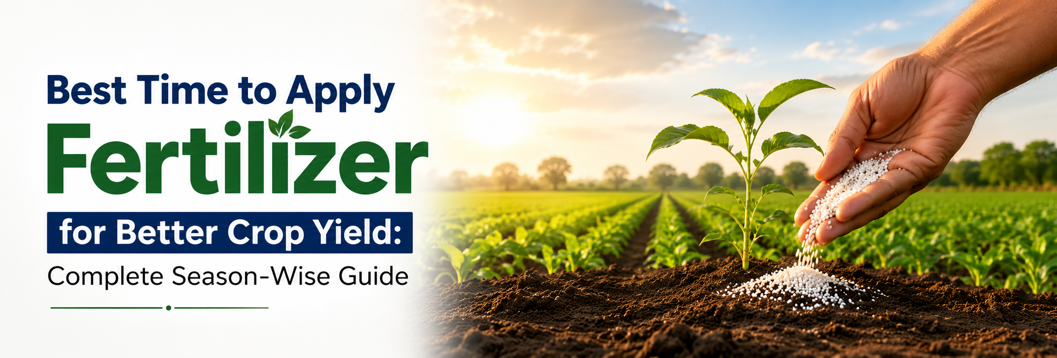 Best Time to Apply Fertilizer for Better Crop Yield: Complete Season-Wise Guide