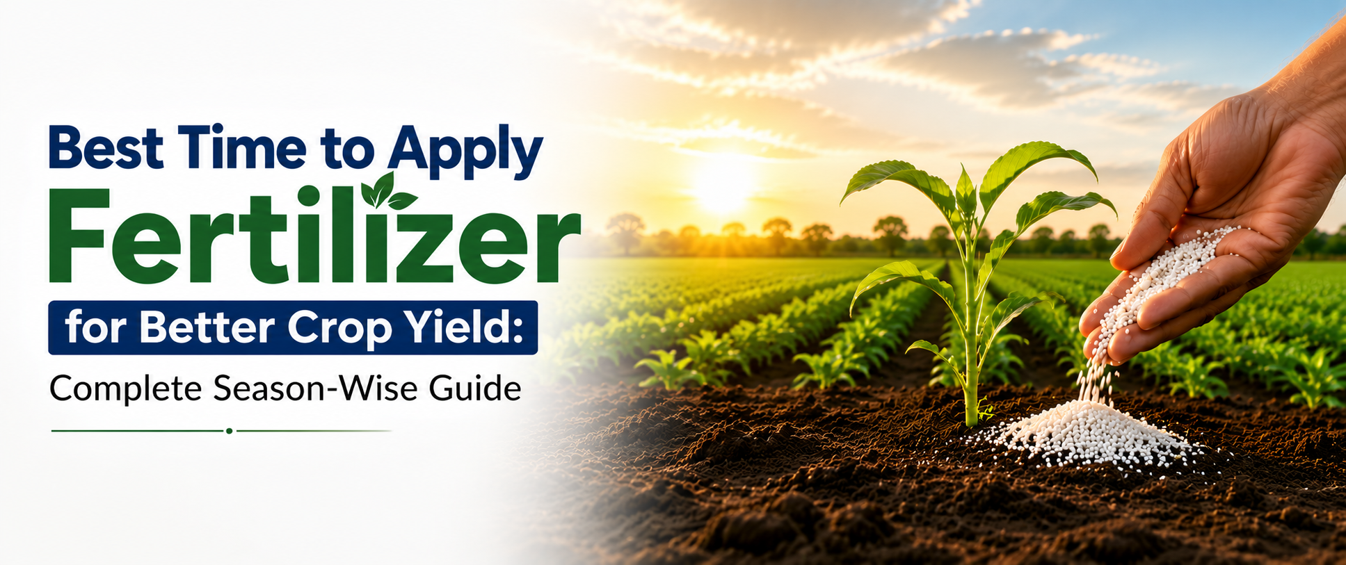 Best Time to Apply Fertilizer for Better Crop Yield: Complete Season-Wise Guide