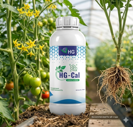 HG-Cal – 11% Calcium Liquid Fertilizer HG-Cal 11% Calcium Liquid Fertilizer by Hindustan Gum & Chemicals Ltd.