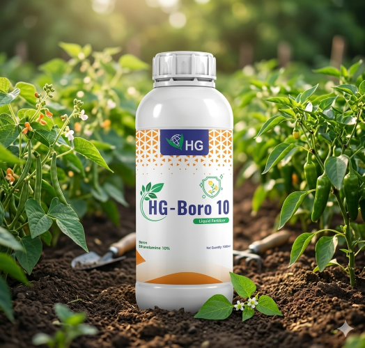 HG-Boro 10 liquid boron ethanolamine fertilizer bottle for improved flowering and fruit setting in crops
